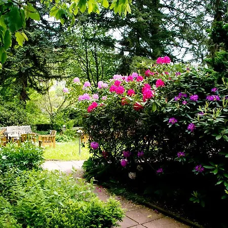 Haus Helvetia Bad Orb