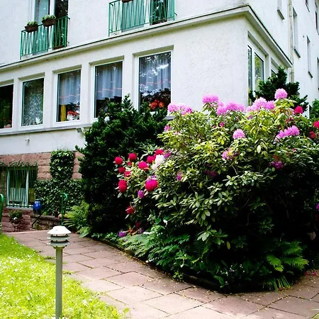 Bed & Breakfast Haus Helvetia 3*