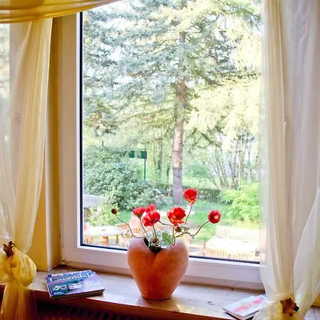 Bed & Breakfast Haus Helvetia