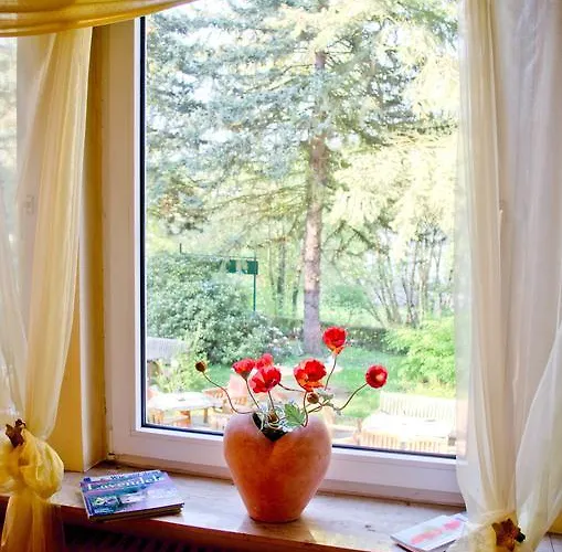 Bed & Breakfast Haus Helvetia