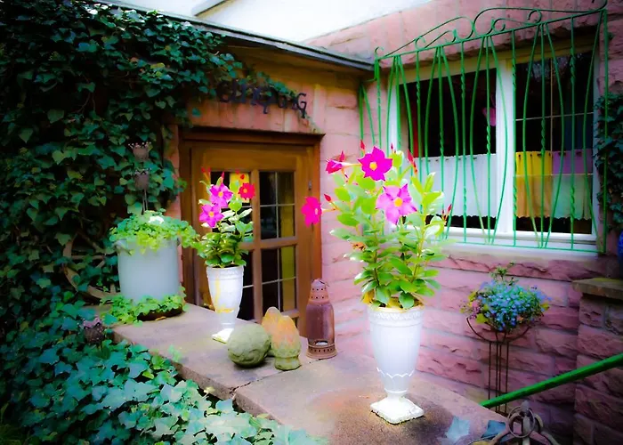 Bed & Breakfast Haus Helvetia